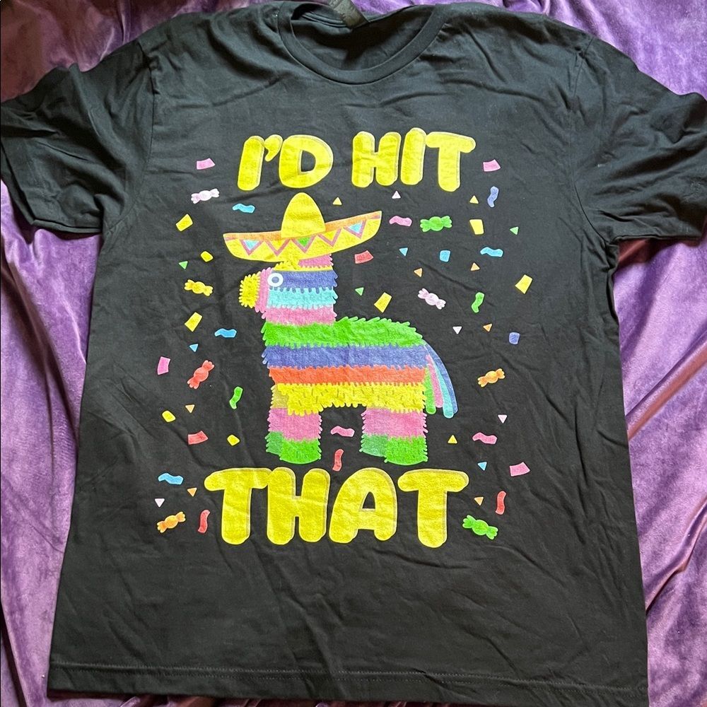 Piñata I’d Hit That Graphic T-Shirt (Men’s L)